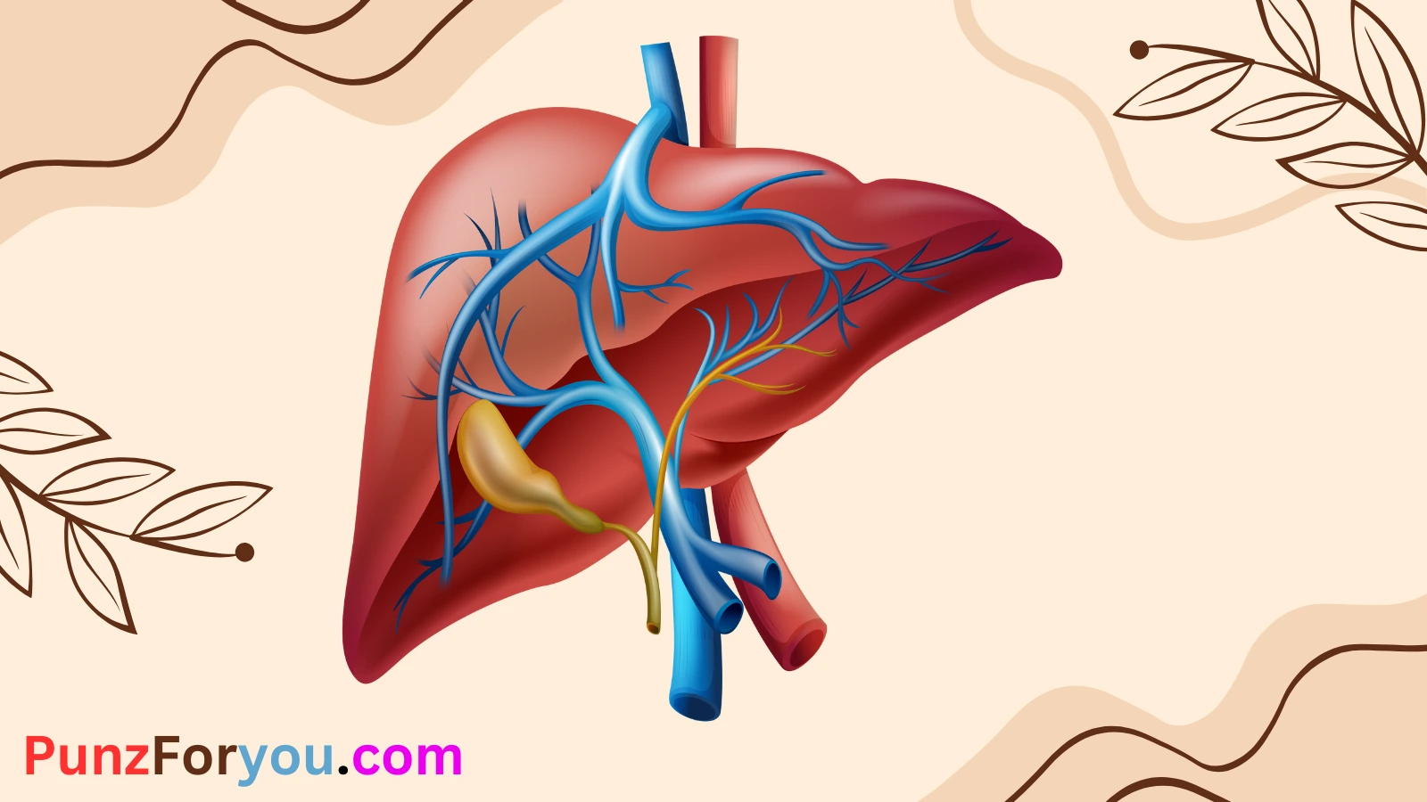 You are currently viewing Liver Puns A Humorous Take on the Hardest Working Organ